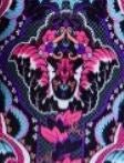 Amanzi Lolita Ladies One Piece Chlorine Resistant UV Protection Swimwear - Gym Gear Australia