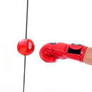 PUNCH - FLOOR TO CEILING BUTTERFLY BALL KIT